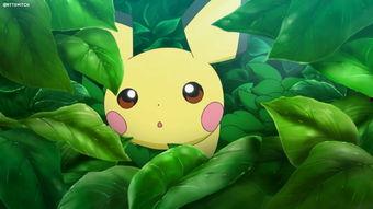 最新的动画片爆料,揭秘最新动画片神秘世界